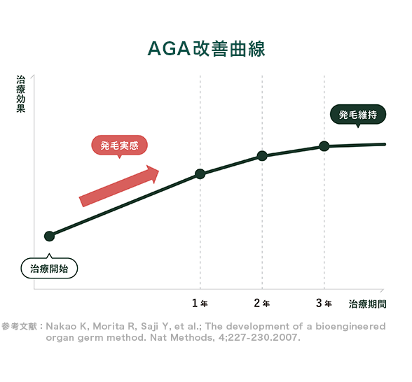 毛根イメージ