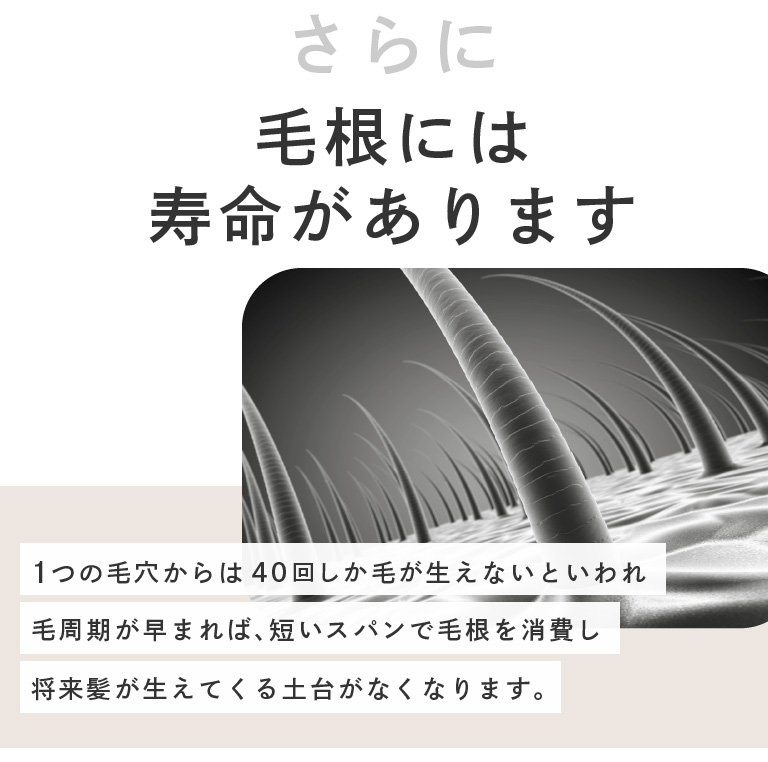 さらに毛根には寿命があります。1つの毛穴からは40回しか毛が生えないといわれ、毛周期が早まれば、短いスパンで毛根を消費し、将来髪が生えてくる土台がなくなります。