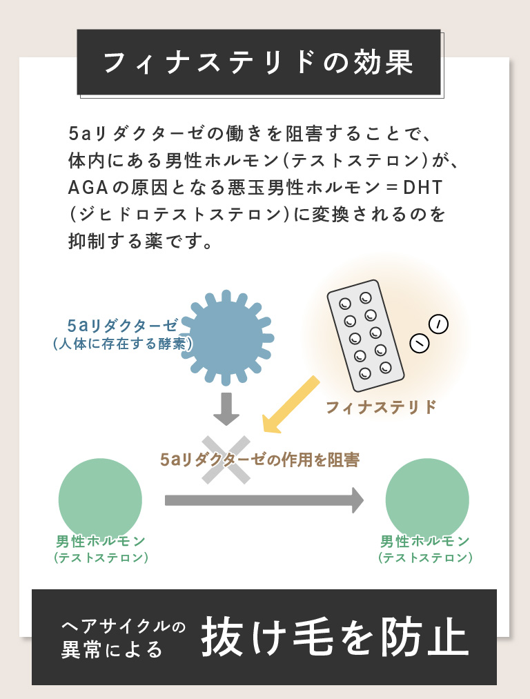 フィナステリドの効果。5aリダクターゼの働きを阻害することで、体内にある男性ホルモン（テストステロン）が、AGAの原因となる悪玉男性ホルモンDHT（ジヒドロテストステロン）に変換されるのを抑制する薬です。ヘアサイクルの異常による抜け毛を防止します。