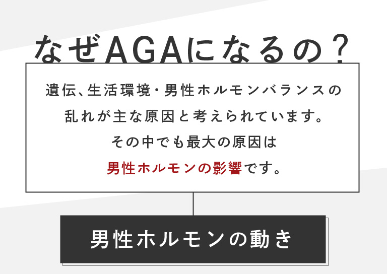 なぜAGAになるの？遺伝、生活環境・男性ホルモンバランスの乱れが主な原因と考えられています。その中でも最大の原因は男性ホルモンの影響です。